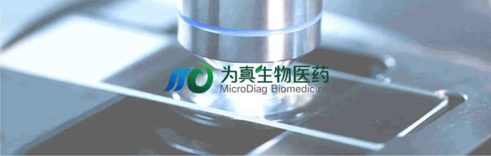 王莹院长领衔，王弢博士技术负责的研发项目获浙江省2024年度“尖兵”“领雁”研发攻关计划项目立项